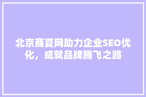 北京商夏网助力企业SEO优化，成就品牌腾飞之路