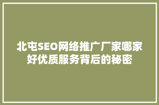北屯SEO网络推广厂家哪家好优质服务背后的秘密