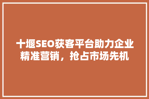 十堰SEO获客平台助力企业精准营销，抢占市场先机