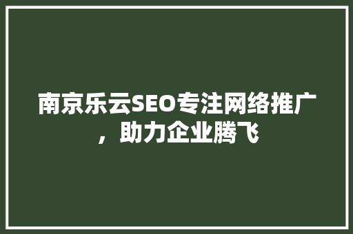南京乐云SEO专注网络推广，助力企业腾飞