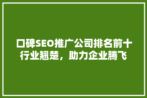 口碑SEO推广公司排名前十行业翘楚，助力企业腾飞