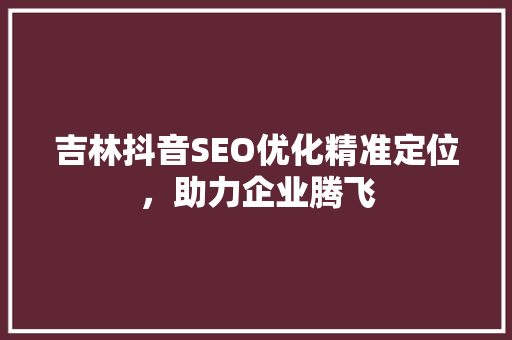 吉林抖音SEO优化精准定位，助力企业腾飞