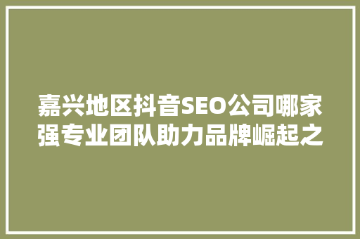 嘉兴地区抖音SEO公司哪家强专业团队助力品牌崛起之路