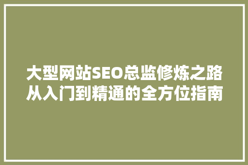 大型网站SEO总监修炼之路从入门到精通的全方位指南