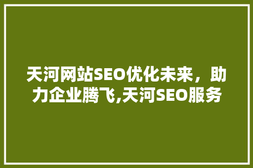 天河网站SEO优化未来，助力企业腾飞,天河SEO服务价格背后的价值