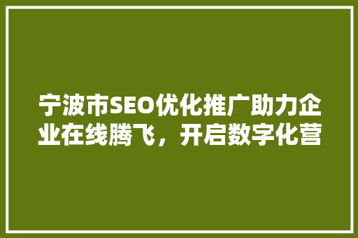 宁波市SEO优化推广助力企业在线腾飞，开启数字化营销新时代