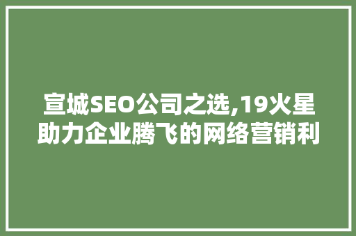 宣城SEO公司之选,19火星助力企业腾飞的网络营销利器