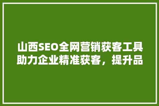 山西SEO全网营销获客工具助力企业精准获客，提升品牌影响力