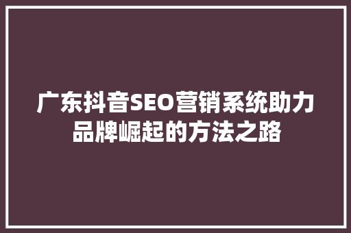广东抖音SEO营销系统助力品牌崛起的方法之路