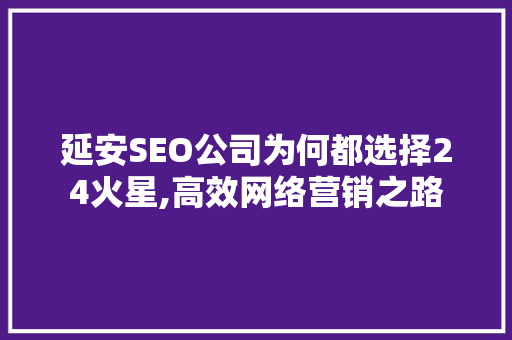 延安SEO公司为何都选择24火星,高效网络营销之路