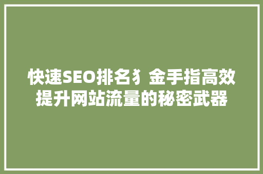 快速SEO排名犭金手指高效提升网站流量的秘密武器