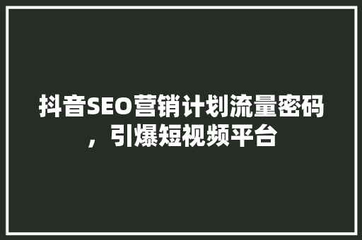 抖音SEO营销计划流量密码，引爆短视频平台