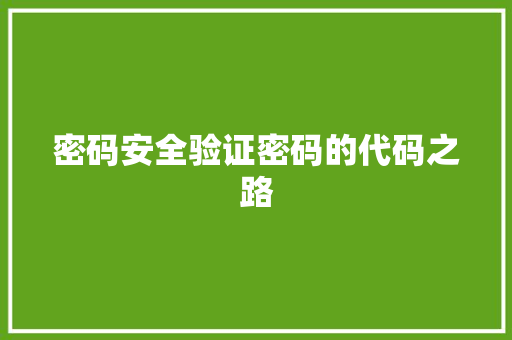 密码安全验证密码的代码之路