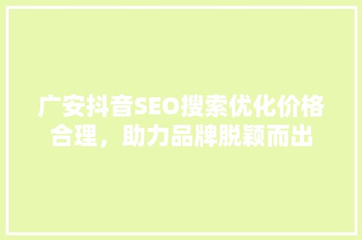 广安抖音SEO搜索优化价格合理，助力品牌脱颖而出