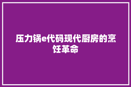 压力锅e代码现代厨房的烹饪革命
