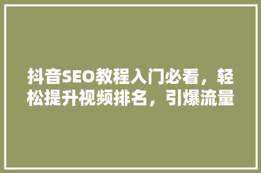 抖音SEO教程入门必看，轻松提升视频排名，引爆流量