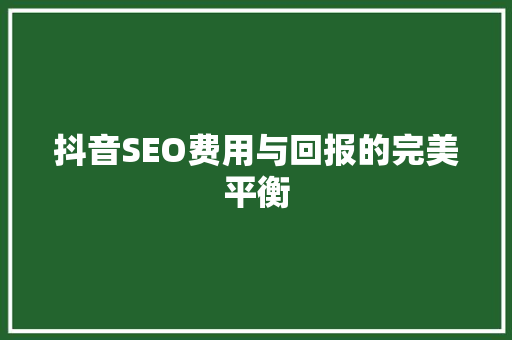 抖音SEO费用与回报的完美平衡