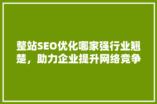 整站SEO优化哪家强行业翘楚，助力企业提升网络竞争力