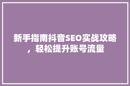 新手指南抖音SEO实战攻略，轻松提升账号流量