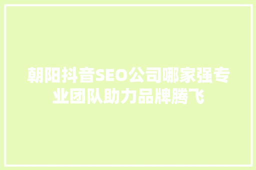 朝阳抖音SEO公司哪家强专业团队助力品牌腾飞