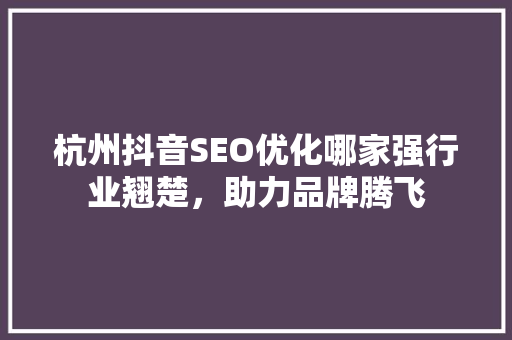 杭州抖音SEO优化哪家强行业翘楚，助力品牌腾飞