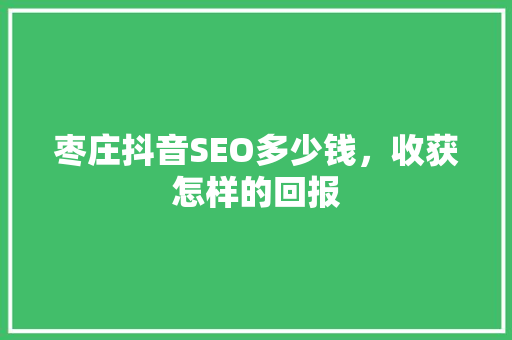 枣庄抖音SEO多少钱，收获怎样的回报