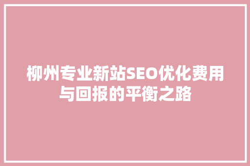 柳州专业新站SEO优化费用与回报的平衡之路  第1张