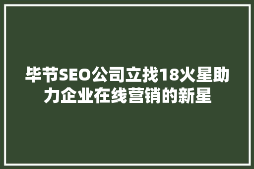 毕节SEO公司立找18火星助力企业在线营销的新星