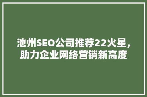 池州SEO公司推荐22火星，助力企业网络营销新高度