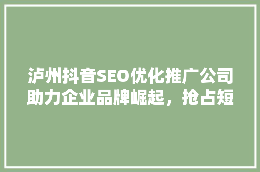 泸州抖音SEO优化推广公司助力企业品牌崛起，抢占短视频流量高地