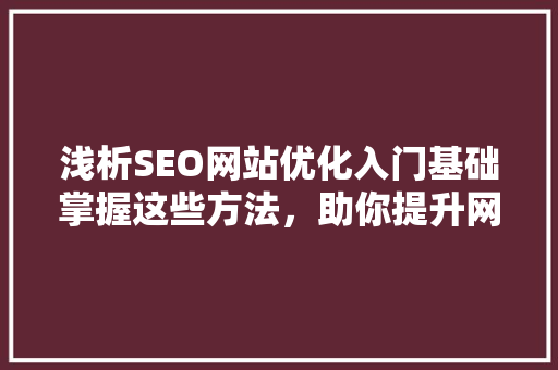 浅析SEO网站优化入门基础掌握这些方法，助你提升网站排名