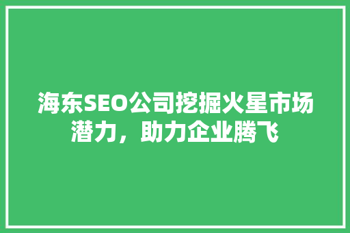 海东SEO公司挖掘火星市场潜力，助力企业腾飞