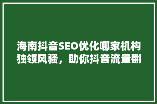 海南抖音SEO优化哪家机构独领风骚，助你抖音流量翻倍