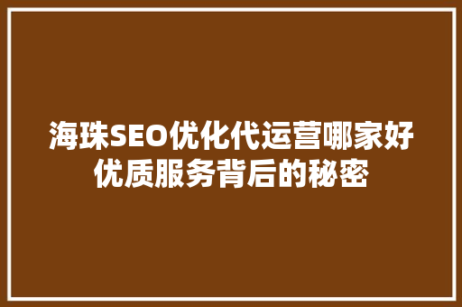 海珠SEO优化代运营哪家好优质服务背后的秘密