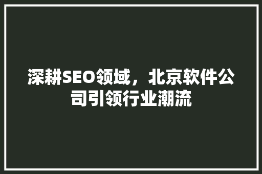 深耕SEO领域，北京软件公司引领行业潮流