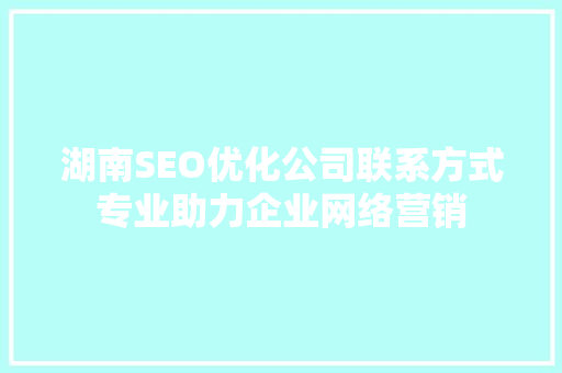 湖南SEO优化公司联系方式专业助力企业网络营销