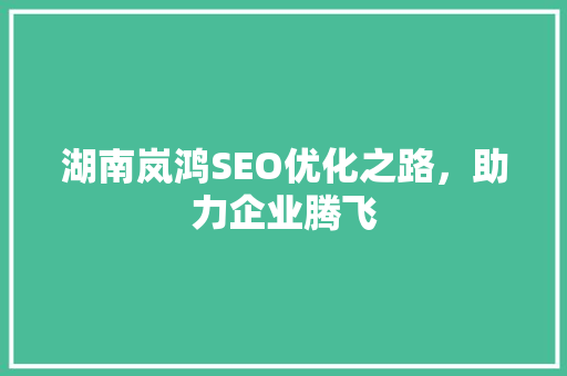 湖南岚鸿SEO优化之路，助力企业腾飞