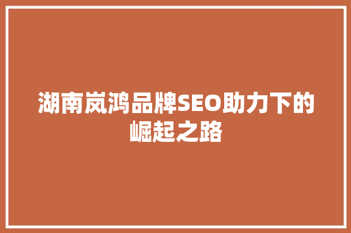 湖南岚鸿品牌SEO助力下的崛起之路