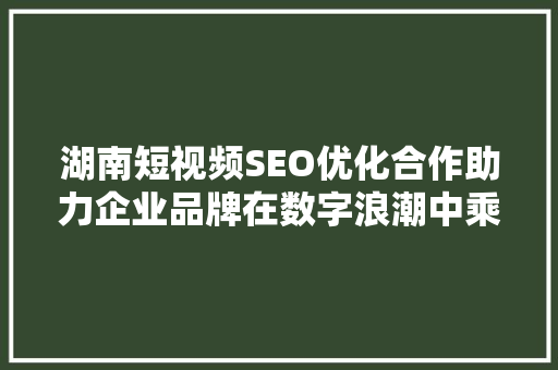 湖南短视频SEO优化合作助力企业品牌在数字浪潮中乘风破浪