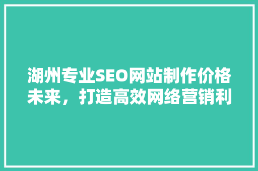 湖州专业SEO网站制作价格未来，打造高效网络营销利器
