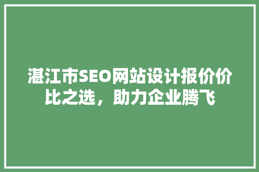 湛江市SEO网站设计报价价比之选，助力企业腾飞