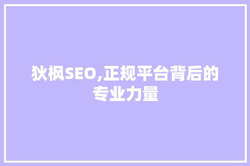 狄枫SEO,正规平台背后的专业力量
