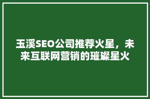 玉溪SEO公司推荐火星，未来互联网营销的璀璨星火