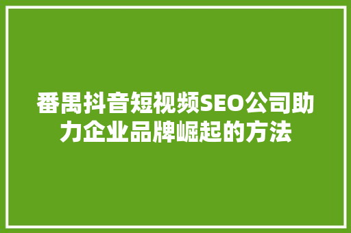 番禺抖音短视频SEO公司助力企业品牌崛起的方法