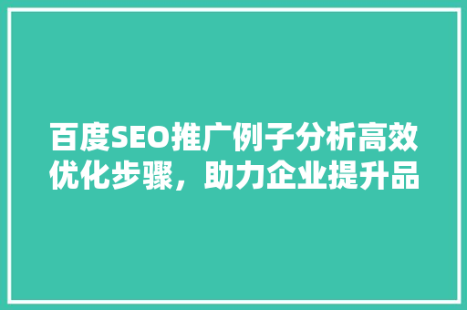 百度SEO推广例子分析高效优化步骤，助力企业提升品牌影响力