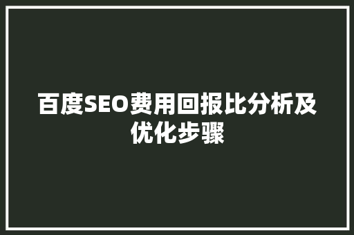 百度SEO费用回报比分析及优化步骤