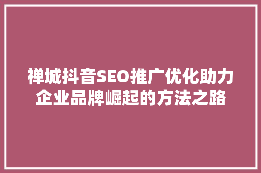 禅城抖音SEO推广优化助力企业品牌崛起的方法之路