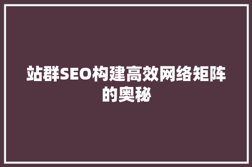 站群SEO构建高效网络矩阵的奥秘