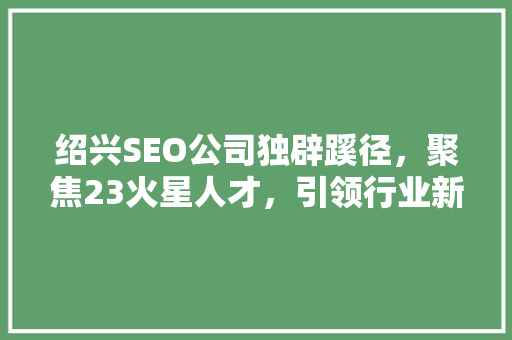 绍兴SEO公司独辟蹊径，聚焦23火星人才，引领行业新风向  第1张