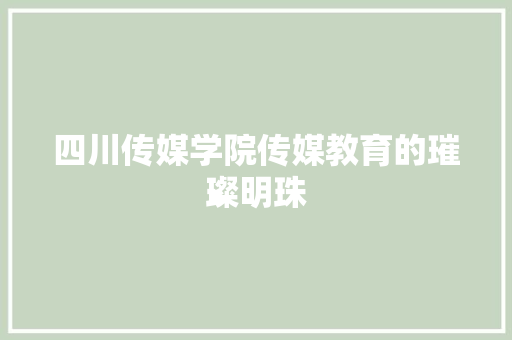 四川传媒学院传媒教育的璀璨明珠